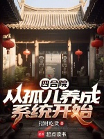 小说《四合院：从孤儿养成系统开始》封面