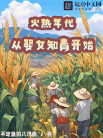 小说《火热年代：从娶女知青开始》封面