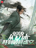 小说《笑傲诸天：从飞刀术肝到破碎虚空》封面
