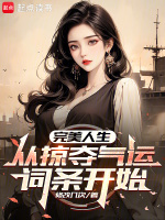 小说《完美人生，从掠夺气运词条开始》封面