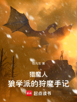 小说《猎魔人：狼学派的狩魔手记》封面