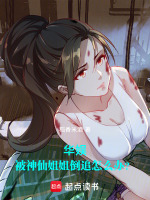 小说《华娱：被神仙姐姐倒追怎么办？》封面