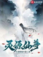 小说《灵源仙尊》封面