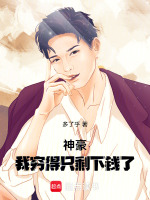 小说《神豪：我穷得只剩下钱了》封面