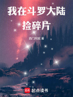 小说《我在斗罗大陆捡碎片》封面