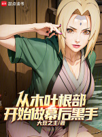 小说《从木叶根部开始做幕后黑手》封面