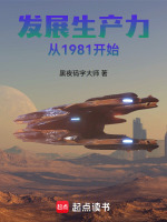 小说《发展生产力从1981开始》封面