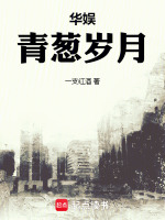 小说《华娱青葱岁月》封面