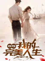 小说《1979：我的完美人生》封面