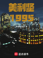 小说《美利坚1995》封面
