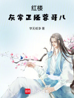 小说《红楼，灰常正经蓉哥儿》封面