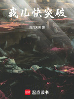 小说《我儿快突破》封面
