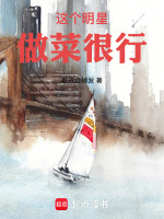小说《这个明星做菜很行》封面