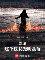 小说《双城：这个议长光明磊落》封面