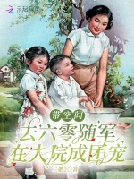 小说《带空间去六零随军，在大院成团宠》封面