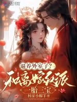 小说《逼养外室子？和离嫁反派一胎三宝》封面
