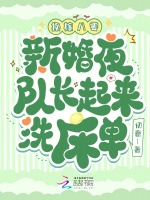 小说《换嫁八零：新婚夜队长起来洗床单》封面