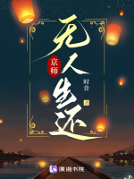 小说《京师无人生还》封面