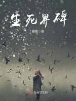 小说《生死界碑》封面