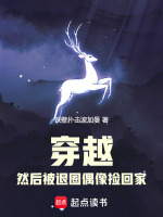 小说《穿越，然后被退圈偶像捡回家》封面