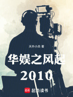 小说《华娱之风起2010》封面