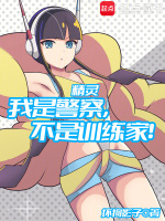 小说《精灵：我是警察，不是训练家！》封面