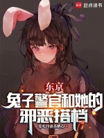 小说《东京：兔子警官和她的邪恶搭档》封面
