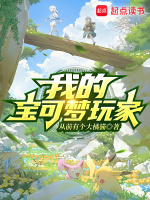 小说《我的宝可梦玩家》封面