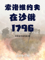 小说《索洛维约夫在沙俄1796》封面