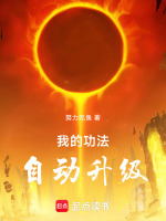 小说《我的功法自动升级》封面