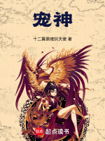 小说《宠神》封面