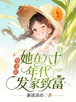 小说《穿书后，她在八十年代发家致富》封面