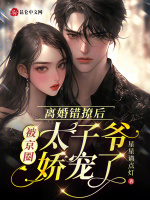 小说《离婚错撩后，被京圈太子爷娇宠了》封面