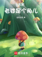 小说《未来老婆是个角儿》封面