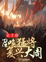 小说《金手指：召唤猛将复兴大周》封面