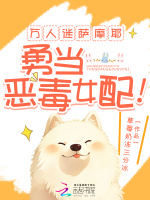 小说《万人迷萨摩耶，勇当恶毒女配！》封面
