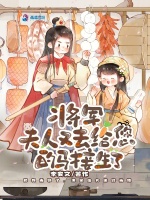 小说《将军，夫人又去给您的马接生了》封面