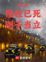 小说《四合院：傻柱已死，刚子当立》封面