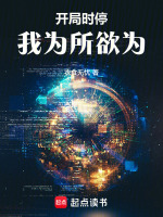 小说《开局时停，我为所欲为》封面