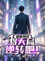 小说《规则领域，将大局逆转吧！》封面