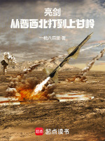 小说《亮剑：从晋西北打到上甘岭》封面