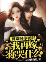 小说《离婚时你耍狠，我再嫁你哭什么》封面