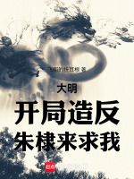 小说《大明：我朱高煦，海外立国大汉》封面