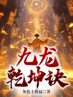 小说《九龙乾坤诀》封面