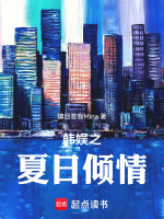 小说《半岛之夏日倾情》封面
