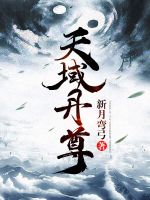 小说《天域丹尊》封面