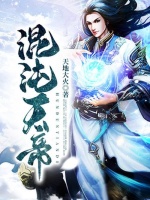 小说《混沌天帝》封面