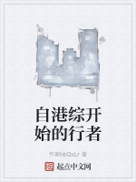 小说《自港综开始的行者》封面