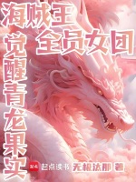 小说《海贼王：全员女团，觉醒青龙果实》封面