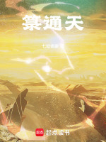 小说《箓通天》封面